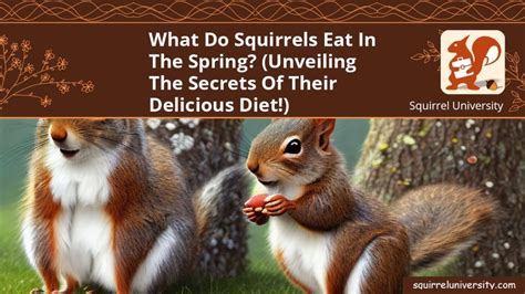 The Nut-Lover's Table: Analyzing the Squirrel's Diet for Health Benefits